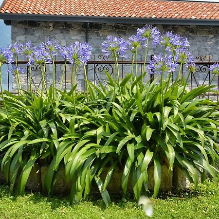 圣西罗Casa Giardino Fiorito公寓 外观 照片